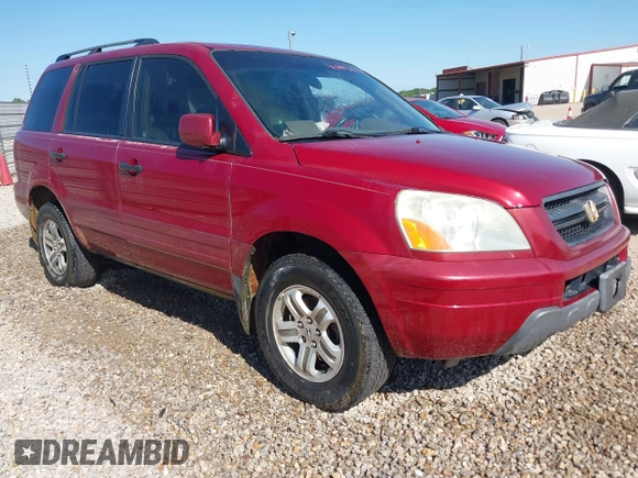 2005 Honda Pilot EX-L with VIN 5FNYF18505B022497, listed as a IAAI auction lot 41994385 with 199,143 mi miles. Bid and sale history available at carsss.com. Image 1.