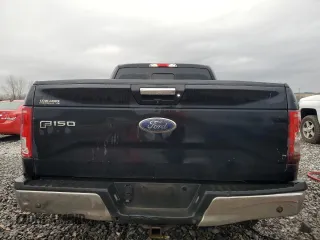 2016 Ford F-150 XL with VIN 1FTEX1CP5GFC96317, listed as a Copart auction lot 43956955 with 229,618 mi miles and Salvage Title. Bid and sale history available at carsss.com. Image 6.