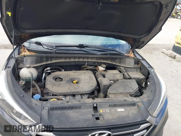 2017 Hyundai Tucson SE with VIN KM8J3CA46HU478356, listed as a IAAI auction lot 41892598 with 62,338 mi miles. Bid and sale history available at carsss.com. Image 10.