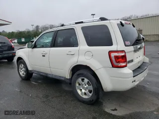 2011 Ford Escape Limited with VIN 1FMCU0EG6BKC43631, listed as a Copart auction lot 52919395 with 156,389 mi miles and Salvage Title. Bid and sale history available at carsss.com. Image 2.
