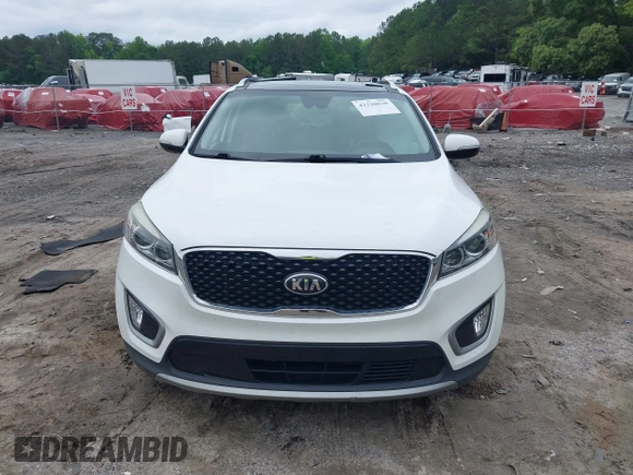 2017 Kia Sorento EX with VIN 5XYPH4A55HG253166, listed as a IAAI auction lot 42220030 with 129,524 mi miles and . Bid and sale history available at DreamBid. Image 12.