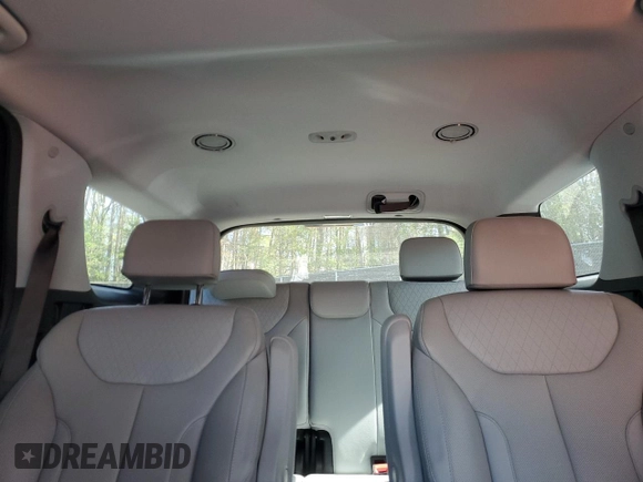2020 Hyundai Palisade SEL with VIN KM8R4DHE9LU109343, listed as a Copart auction lot 52791105 with 51,542 mi miles and Salvage title. Bid and sale history available at DreamBid. Image 10.