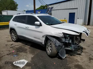 2014 Jeep Cherokee Limited with VIN 1C4PJMDS0EW140309, listed as a Copart auction lot 59203385 with 116,058 mi miles and Salvage title. Bid and sale history available at DreamBid. Image 4.
