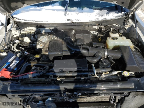 2010 Ford F-150 XL with VIN 1FTFW1EV3AFC34702, listed as a Copart auction lot 45948365 with 218,170 mi miles and Salvage Title. Bid and sale history available at carsss.com. Image 11.