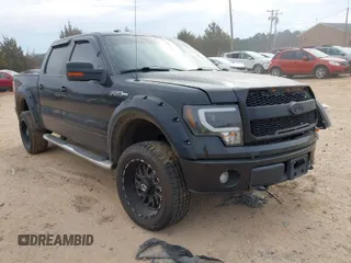 2010 Ford F-150 XL with VIN 1FTFW1EV1AFB76878, listed as a IAAI auction lot 41655373 with 193,064 mi miles. Bid and sale history available at carsss.com. Image 1.