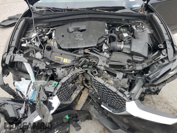 2025 Mazda CX-30 S Select Sport with VIN 3MVDMBBM7SM768607, listed as a Copart auction lot 41609905 with 1,543 mi miles and Salvage Title. Bid and sale history available at DreamBid. Image 13.
