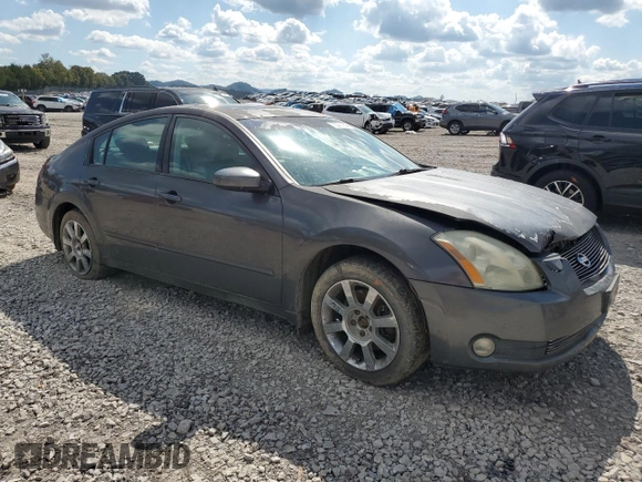 2006 Nissan Maxima 3.5 SE with VIN 1N4BA41EX6C842106, listed as a Copart auction lot 73371904 with 176,934 mi miles and Salvage Title. Bid and sale history available at carsss.com. Image 4.