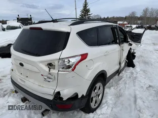 2013 Ford Escape SE with VIN 1FMCU9G97DUB99908, listed as a Copart auction lot 48123295 with Not Provided miles and Non Repairable. Bid and sale history available at DreamBid. Image 3.