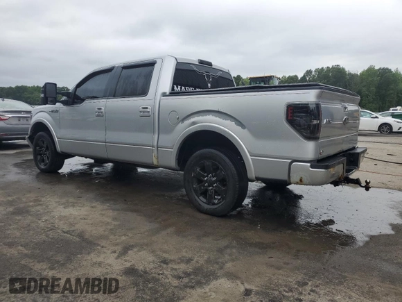 2010 Ford F-150 XL with VIN 1FTEW1C81AKB37935, listed as a Copart auction lot 62644595 with 185,465 mi miles and Salvage title. Bid and sale history available at DreamBid. Image 2.