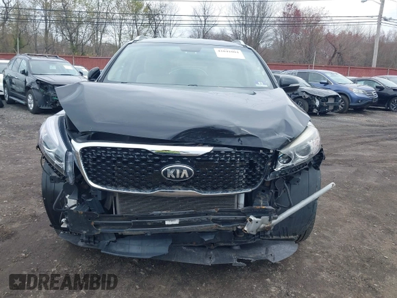 2017 Kia Sorento LX with VIN 5XYPGDA56HG209874, listed as a IAAI auction lot 42041004 with 151,205 mi miles and . Bid and sale history available at carsss.com. Image 12.