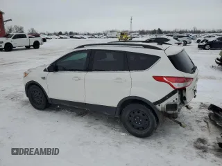 2014 Ford Escape SE with VIN 1FMCU9G99EUD90182, listed as a Copart auction lot 44133645 with 183,122 mi miles and Salvage Title. Bid and sale history available at DreamBid. Image 2.