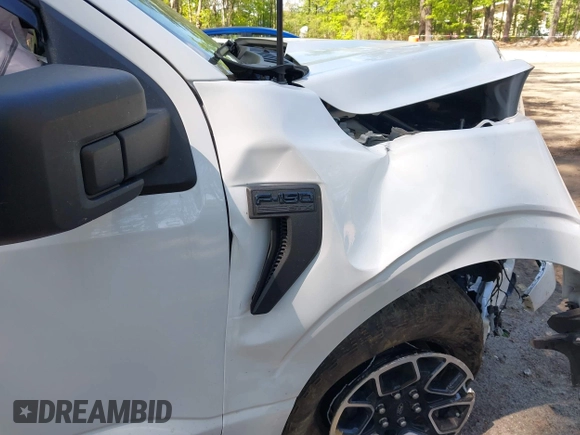 2023 Ford F-150 XL with VIN 1FTEX1EP8PFA78448, listed as a IAAI auction lot 42115100 with 31,433 mi miles and . Bid and sale history available at DreamBid. Image 6.