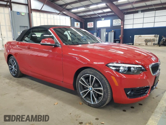 2018 BMW 2 Series 230i xDrive with VIN WBA2K1C53JVD41137, listed as a Copart auction lot 46621633 with 21,004 mi miles. Bid and sale history available at carsss.com. Image 4.
