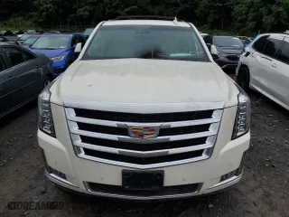 2015 Cadillac Escalade Luxury with VIN 1GYS4MKJ9FR518097, listed as a Copart auction lot 66408384 with 0 mi miles and Salvage Title. Bid and sale history available at carsss.com. Image 5.