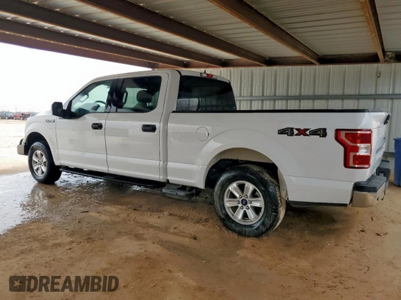 2019 Ford F-150 XL with VIN 1FTFW1E54KKE16420, listed as a Copart auction lot 62522515 with 141,177 mi miles and Clean title. Bid and sale history available at DreamBid. Image 2.