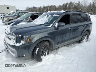 2023 Kia Telluride SX X-Pro with VIN 5XYP5DGC7PG384869, listed as a Copart auction lot 45141575 with 29,446 mi miles and Salvage title. Bid and sale history available at DreamBid. Image 1.