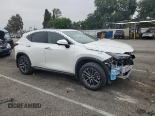 2025 Lexus NX 250 Premium with VIN JTJGDCAZ6S2025006, listed as a Copart auction lot 59337965 with 1,219 mi miles and Salvage title. Bid and sale history available at DreamBid. Image 4.