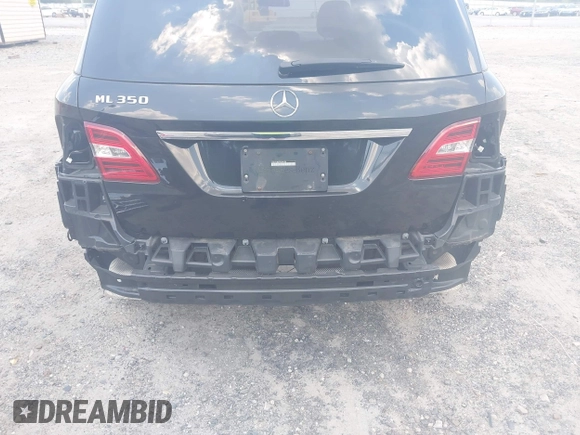 2015 Mercedes-Benz M 350 with VIN 4JGDA5JB2FA604188, listed as a IAAI auction lot 42544343 with 163,597 mi miles and . Bid and sale history available at DreamBid. Image 18.