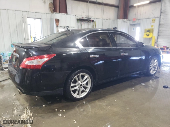 2010 Nissan Maxima 3.5 SV w/Sport Pkg with VIN 1N4AA5AP4AC875081, listed as a Copart auction lot 87683685 with 206,724 mi miles and Salvage Title. Bid and sale history available at carsss.com. Image 3.
