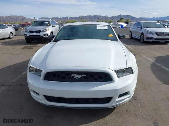 2014 Ford Mustang V6 with VIN 1ZVBP8AMXE5303735, listed as a IAAI auction lot 41899411 with 108,736 mi miles. Bid and sale history available at carsss.com. Image 12.