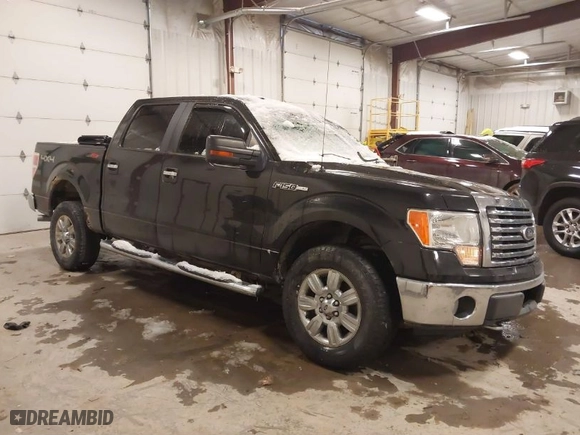 2010 Ford F-150 XL with VIN 1FTFW1EV9AFA04789, listed as a IAAI auction lot 41310534 with 158,469 mi miles. Bid and sale history available at carsss.com. Image 1.