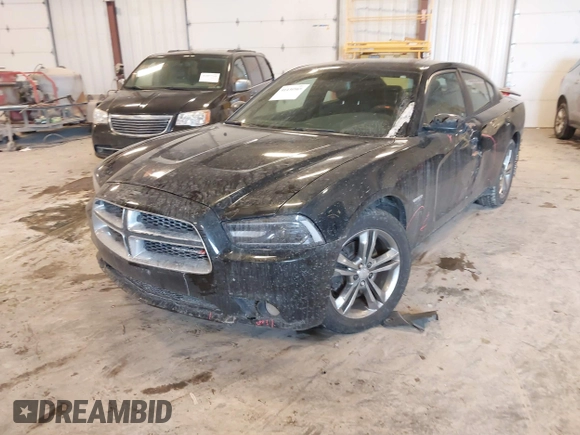 2014 Dodge Charger RT with VIN 2C3CDXDT5EH248671, listed as a IAAI auction lot 41430969 with 173,167 mi miles. Bid and sale history available at carsss.com. Image 17.
