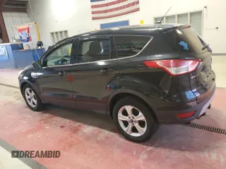2014 Ford Escape SE with VIN 1FMCU9G99EUA06336, listed as a Copart auction lot 53871065 with 117,457 mi miles and Salvage title. Bid and sale history available at DreamBid. Image 2.