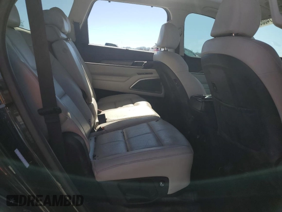 2020 Kia Telluride EX with VIN 5XYP34HC9LG001075, listed as a Copart auction lot 46814085 with 95,428 mi miles and Salvage Title. Bid and sale history available at DreamBid. Image 11.