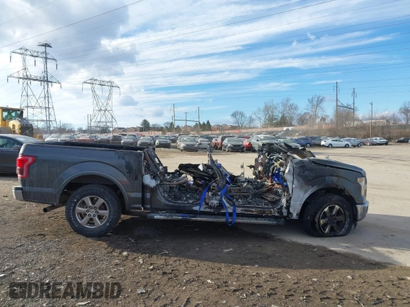2017 Ford F-150 XL with VIN 1FTEW1CP7HKC60057, listed as a IAAI auction lot 41440464 with 1 mi miles. Bid and sale history available at carsss.com. Image 12.