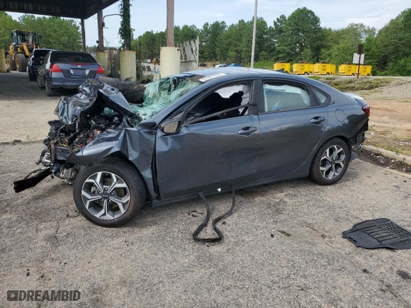 2019 Kia Forte LXS with VIN 3KPF24AD4KE122125, listed as a Copart auction lot 61901084 with 0 mi miles and Salvage Title. Bid and sale history available at carsss.com. Image 1.