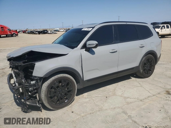 2021 Kia Telluride SX with VIN 5XYP5DHC3MG156572, listed as a Copart auction lot 59173945 with 45,089 mi miles and Salvage title. Bid and sale history available at DreamBid. Image 1.