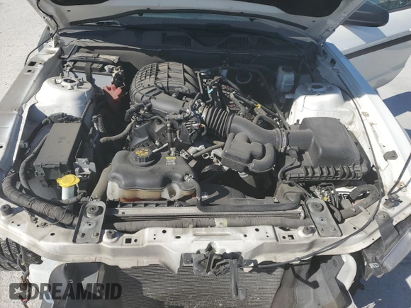 2011 Ford Mustang V6 with VIN 1ZVBP8AM9B5155900, listed as a Copart auction lot 50009795 with 81,051 mi miles and Salvage Title. Bid and sale history available at carsss.com. Image 11.
