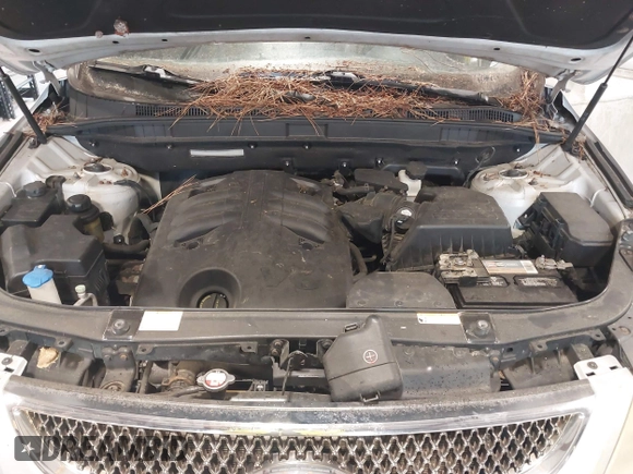 2009 Hyundai Veracruz GLS with VIN KM8NU73C69U082889, listed as a IAAI auction lot 42613377 with 155,256 mi miles and . Bid and sale history available at DreamBid. Image 10.