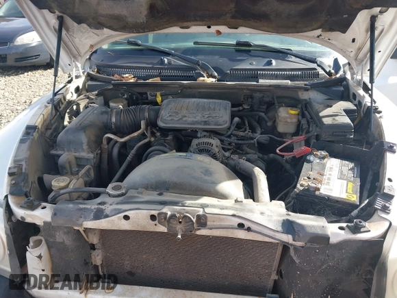 2005 Dodge Dakota ST with VIN 1D7HE22K75S160795, listed as a IAAI auction lot 41569099 with 254,592 mi miles and . Bid and sale history available at DreamBid. Image 10.