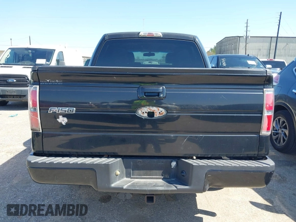 2010 Ford F-150 XL with VIN 1FTEW1C86AKC00706, listed as a IAAI auction lot 41612767 with 202,550 mi miles. Bid and sale history available at carsss.com. Image 16.