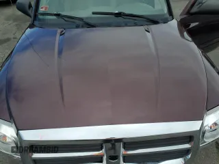 2005 Dodge Dakota SLT with VIN 1D7HW48N95S167516, listed as a Copart auction lot 49378105 with Not Provided miles and Salvage Title. Bid and sale history available at DreamBid. Image 11.