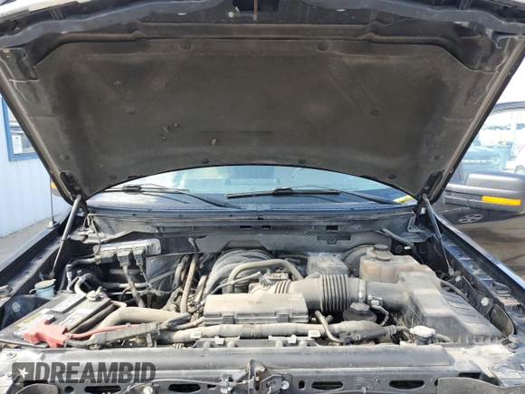 2010 Ford F-150 XL with VIN 1FTEW1C81AFD75177, listed as a Copart auction lot 52542515 with 165,694 mi miles and Salvage Title. Bid and sale history available at carsss.com. Image 11.