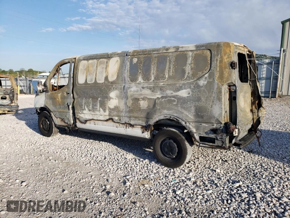 2020 Ford Transit Cargo with VIN 1FTBR1Y81LKA69447, listed as a Copart auction lot 51787594 with Not Provided miles and Salvage Title. Bid and sale history available at DreamBid. Image 2.