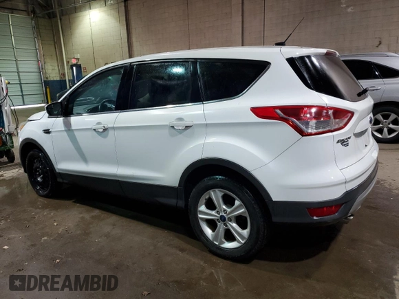 2014 Ford Escape SE with VIN 1FMCU9GX7EUB50417, listed as a Copart auction lot 44676985 with 123,539 mi miles and Clean Title. Bid and sale history available at DreamBid. Image 2.