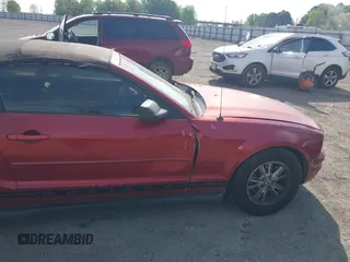 2006 Ford Mustang Standard with VIN 1ZVFT84N365190097, listed as a IAAI auction lot 42015242 with Not Provided miles and . Bid and sale history available at carsss.com. Image 16.