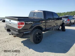 2010 Ford F-150 XL with VIN 1FTFW1EV7AFD74218, listed as a Copart auction lot 61984735 with 173,577 mi miles and Salvage title. Bid and sale history available at DreamBid. Image 3.