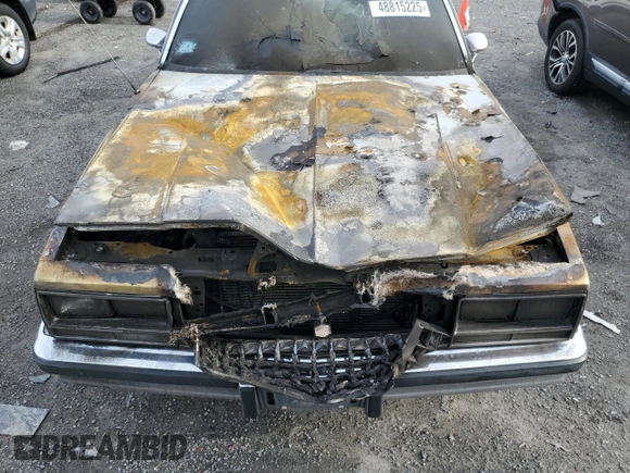 1985 Chevrolet El Camino z VIN 3GCCW80H0FS917778, wystawiony jako Copart lot #48815225 z przebiegiem Nie podano mil oraz Czysty tytuł • Clean title. Historia ofert i sprzedaży dostępna na DreamBid. Obrazek 11.