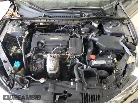 2017 Honda Accord LX with VIN 1HGCR2F39HA169702, listed as a Copart auction lot 41773155 with 66,771 mi miles and Salvage Title. Bid and sale history available at carsss.com. Image 11.
