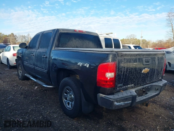 2010 Chevrolet Silverado 1500 LS with VIN 3GCRKREA9AG151200, listed as a IAAI auction lot 41172064 with 113,662 mi miles. Bid and sale history available at carsss.com. Image 14.