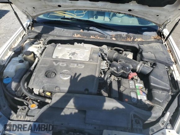 2006 Nissan Maxima 3.5 SE with VIN 1N4BA41E46C834230, listed as a Copart auction lot 54317554 with 0 mi miles and Salvage Title. Bid and sale history available at carsss.com. Image 11.