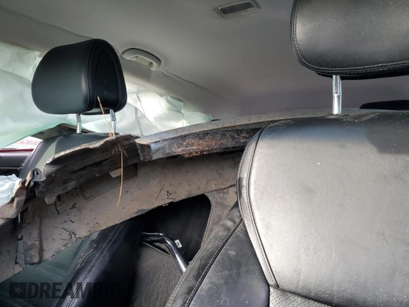2016 Kia Sorento EX with VIN 5XYPH4A16GG033501, listed as a Copart auction lot 81716374 with Not Provided miles and Salvage Title. Bid and sale history available at DreamBid. Image 10.