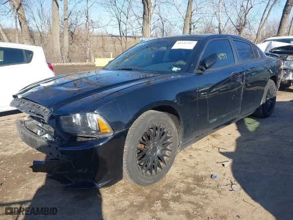 2013 Dodge Charger SE with VIN 2C3CDXBG8DH502099, listed as a IAAI auction lot 41542997 with 174,706 mi miles. Bid and sale history available at carsss.com. Image 6.