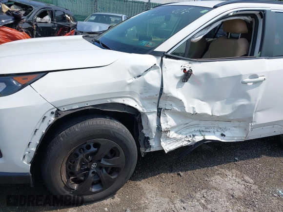 2019 Toyota RAV4 LE with VIN JTMF1RFV0KD045059, listed as a IAAI auction lot 42402598 with Not provided miles and . Bid and sale history available at DreamBid. Image 6.
