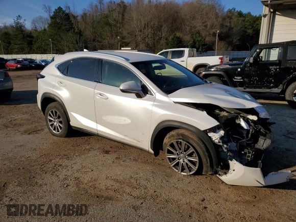 2017 Lexus NX with VIN JTJYARBZ0H2060406, listed as a Copart auction lot 88047045 with 123,643 mi miles and Salvage Title. Bid and sale history available at carsss.com. Image 4.