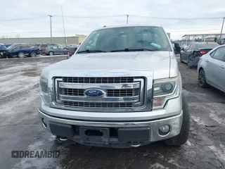 2014 Ford F-150 XL with VIN 1FTFX1ET3EKE46900, listed as a IAAI auction lot 41685367 with 115,849 mi miles. Bid and sale history available at carsss.com. Image 12.